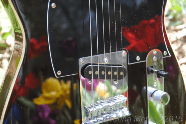 Flowers Reflected in Guitar